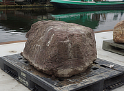 Murasaki Kibune Stone, Japanese Ornamental Rock - YO06010222
