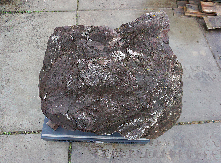Murasaki Kibune Stone, Japanese Ornamental Rock - YO06010351