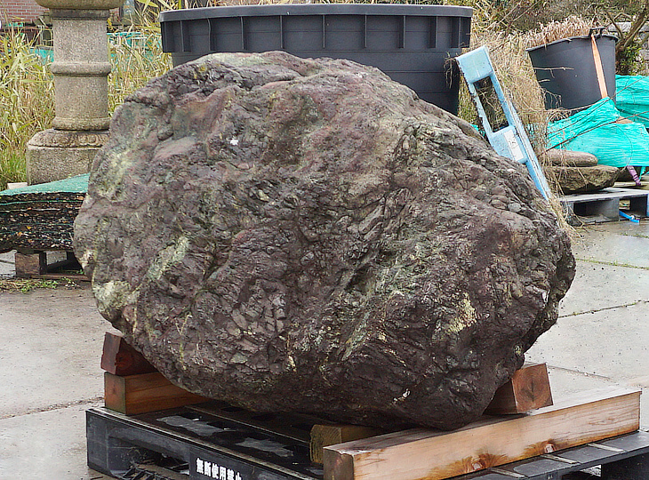 Murasaki Kibune Stone, Japanese Ornamental Rock - YO06010353