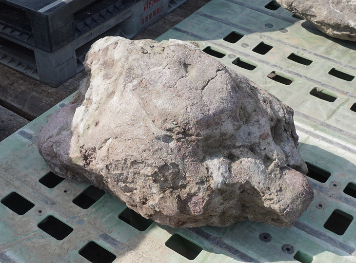 Murasaki Kibune Stone, Japanese Ornamental Rock - YO06010395