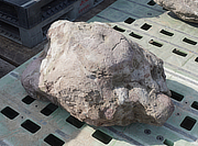 Buy Murasaki Kibune Stone, Japanese Ornamental Rock for sale - YO06010395
