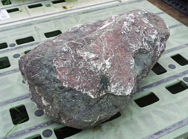 Murasaki Kibune Stone, Japanese Ornamental Rock - YO06010457