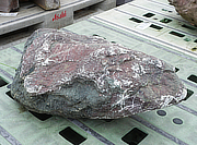Buy Murasaki Kibune Stone, Japanese Ornamental Rock for sale - YO06010457