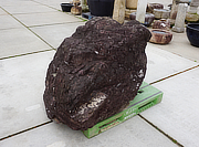 Buy Murasaki Kibune Stone, Japanese Ornamental Rock for sale - YO06010507