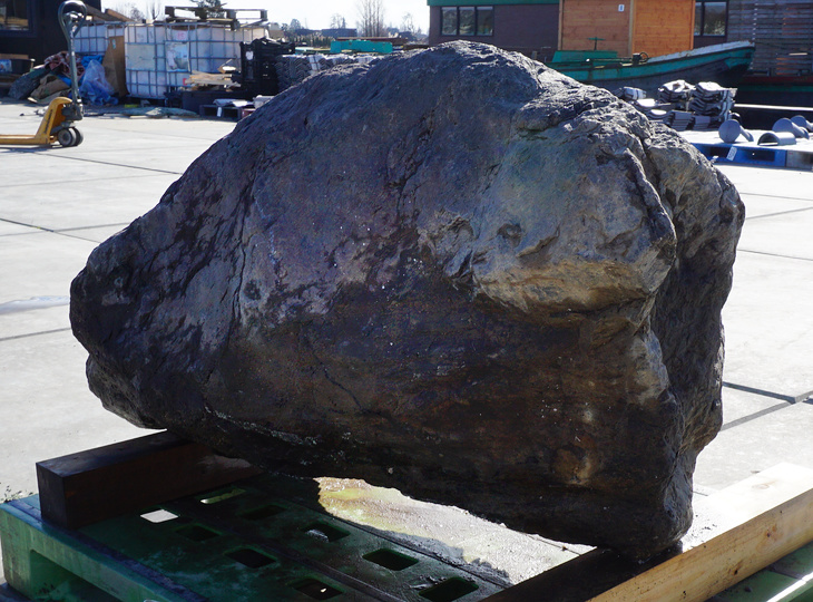 Murasaki Kibune Stone, Japanese Ornamental Rock - YO06010513