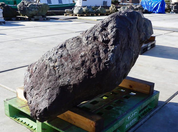 Murasaki Kibune Stone, Japanese Ornamental Rock - YO06010513