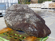 Buy Murasaki Kibune Stone, Japanese Ornamental Rock for sale - YO06010513