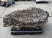 Buy Murasaki Kibune Stone, Japanese Ornamental Rock for sale - YO06010539