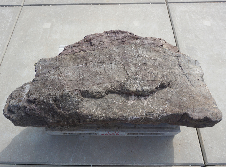 Murasaki Kibune Stone, Japanese Ornamental Rock - YO06010541