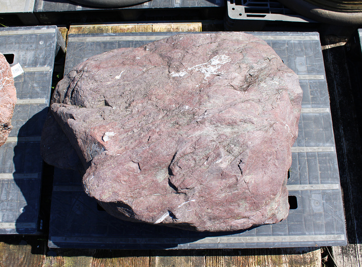 Murasaki Kibune Stone, Japanese Ornamental Rock - YO06010596