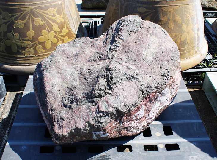 Murasaki Kibune Stone, Japanese Ornamental Rock - YO06010597