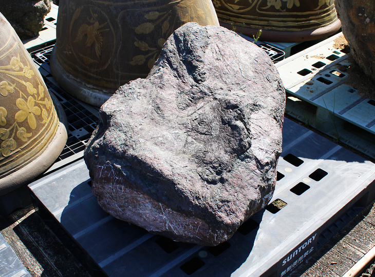 Murasaki Kibune Stone, Japanese Ornamental Rock - YO06010597