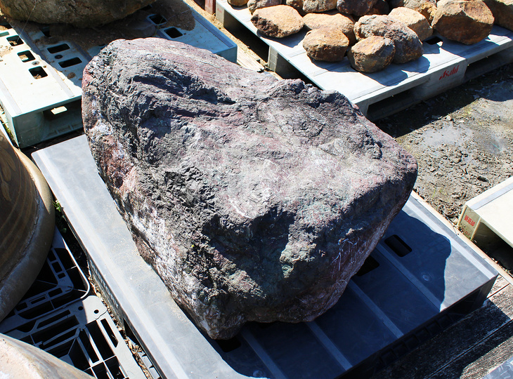 Murasaki Kibune Stone, Japanese Ornamental Rock - YO06010597