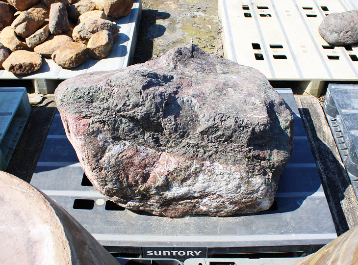 Murasaki Kibune Stone, Japanese Ornamental Rock - YO06010597