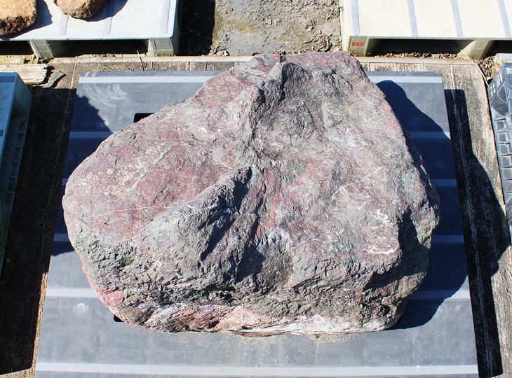 Murasaki Kibune Stone, Japanese Ornamental Rock - YO06010597