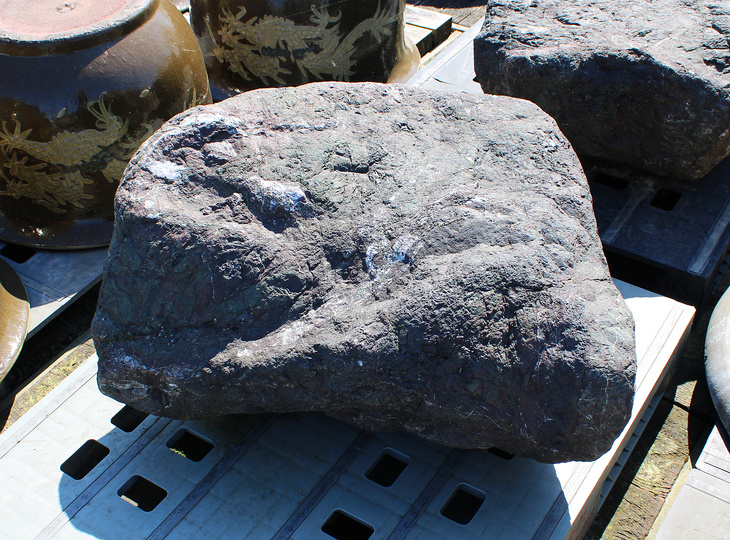 Murasaki Kibune Stone, Japanese Ornamental Rock - YO06010598