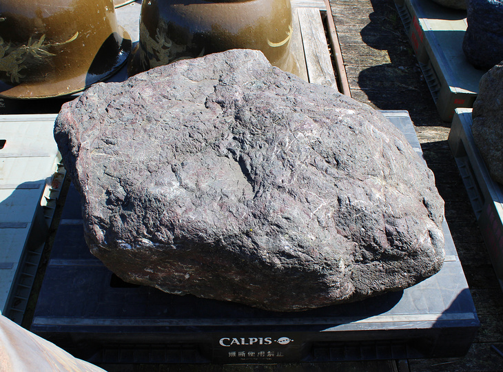 Murasaki Kibune Stone, Japanese Ornamental Rock - YO06010599