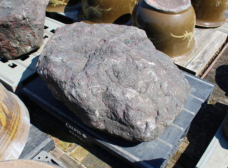 Murasaki Kibune Stone, Japanese Ornamental Rock - YO06010599