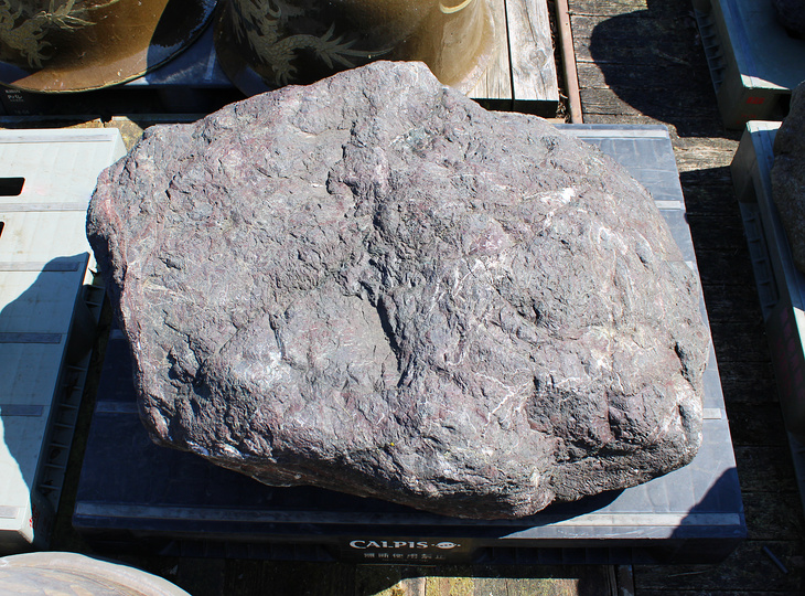 Murasaki Kibune Stone, Japanese Ornamental Rock - YO06010599