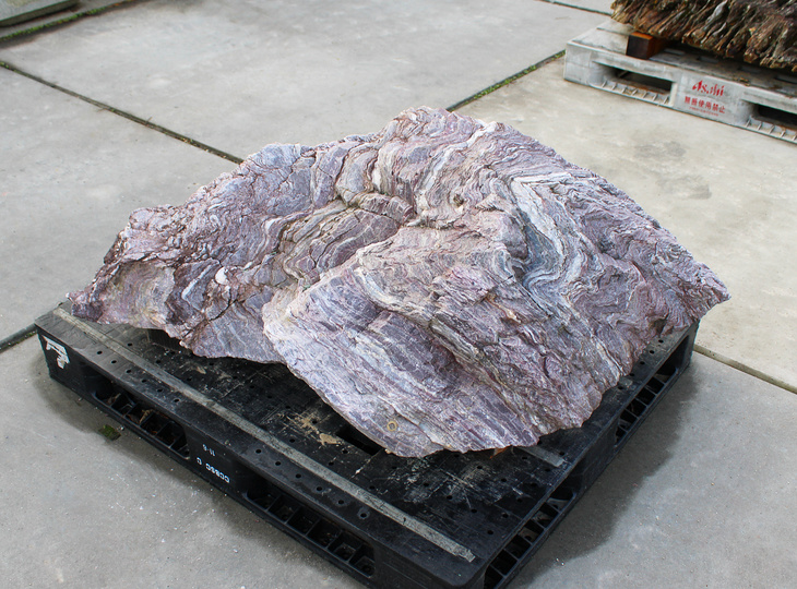 Buy Red Shikoku Stone, Japanese Ornamental Rock for sale - YO06010570