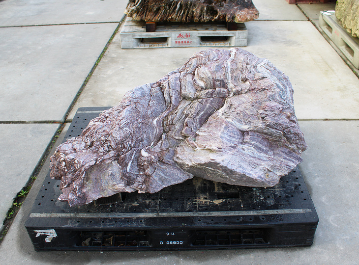 Red Shikoku Stone, Japanese Ornamental Rock - YO06010570