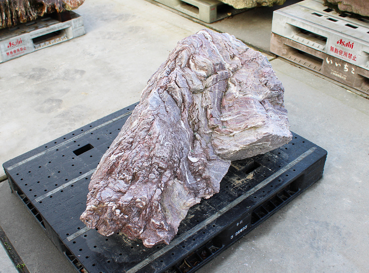 Red Shikoku Stone, Japanese Ornamental Rock - YO06010570