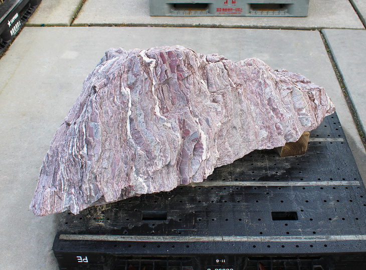 Red Shikoku Stone, Japanese Ornamental Rock - YO06010570