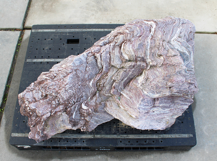 Red Shikoku Stone, Japanese Ornamental Rock - YO06010570