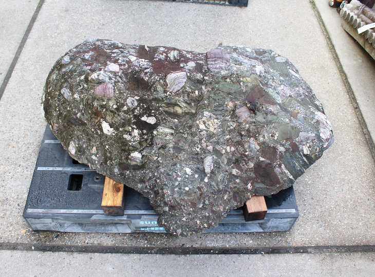 Rekigan Stone, Japanese Ornamental Rock - YO06010574