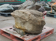 Buy Sagan Sandstone, Japanese Ornamental Rock for sale - YO06010220