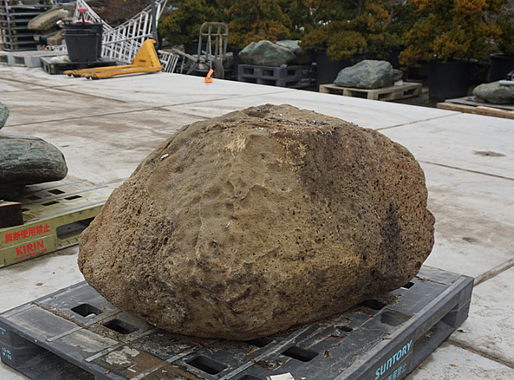 Sagan Sandstone, Japanese Ornamental Rock - YO06010224