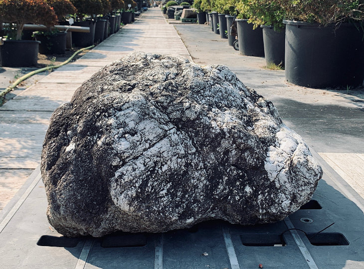 Sanbaseki Stone, Japanese Ornamental Rock - YO06010174