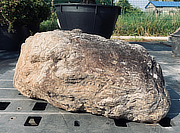 Buy Sanbaseki Stone, Japanese Ornamental Rock for sale - YO06010174