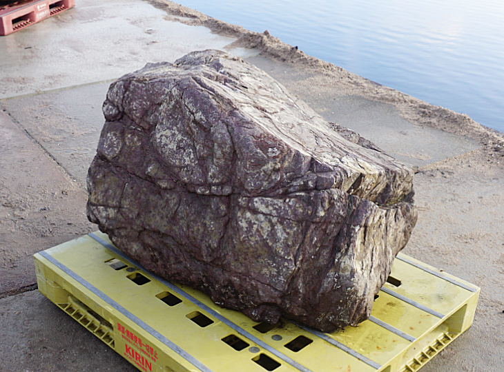 Sanbaseki Stone, Japanese Ornamental Rock - YO06010189