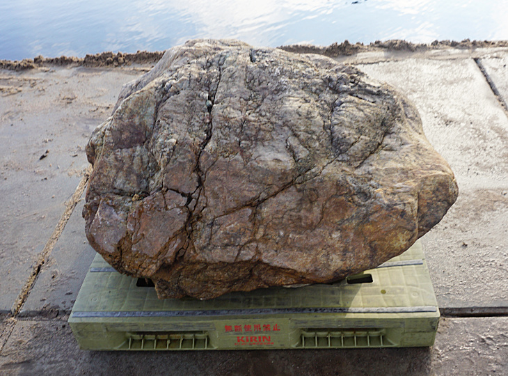 Sanbaseki Stone, Japanese Ornamental Rock - YO06010190