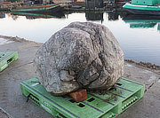 Buy Sanbaseki Stone, Japanese Ornamental Rock for sale - YO06010198