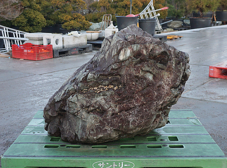 Sanbaseki Stone, Japanese Ornamental Rock - YO06010199