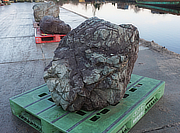 Buy Sanbaseki Stone, Japanese Ornamental Rock for sale - YO06010199