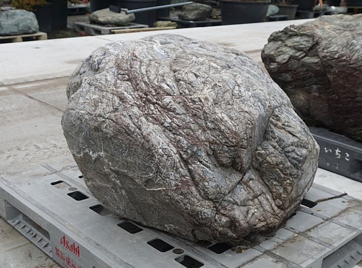 Sanbaseki Stone, Japanese Ornamental Rock - YO06010209