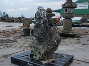 Buy Sanbaseki Stone, Japanese Ornamental Rock for sale - YO06010243