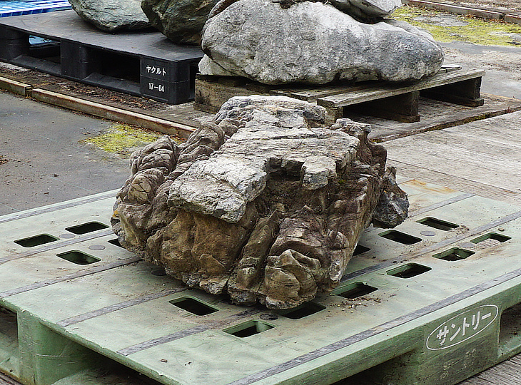 Sanbaseki Stone, Japanese Ornamental Rock - YO06010333