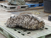 Buy Sanbaseki Stone, Japanese Ornamental Rock for sale - YO06010333