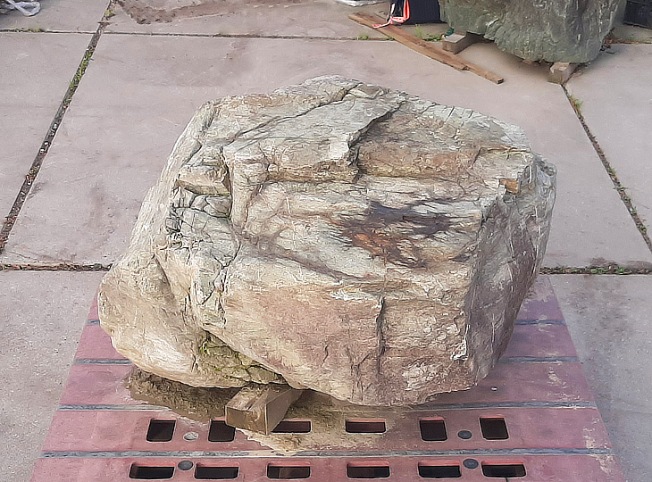 Sanbaseki Stone, Japanese Ornamental Rock - YO06010348