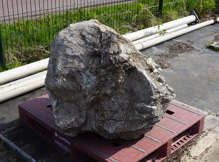 Sanbaseki Stone, Japanese Ornamental Rock - YO06010388