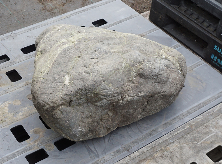 Sanbaseki Stone, Japanese Ornamental Rock - YO06010404