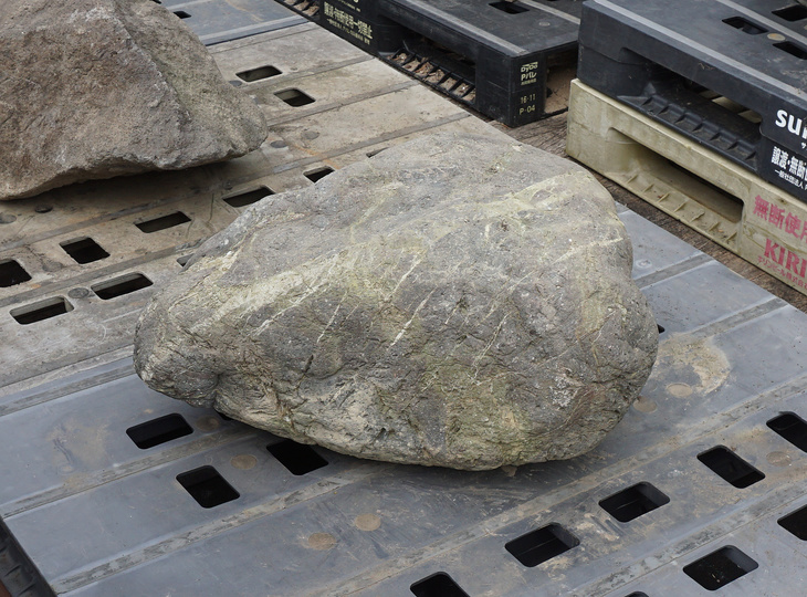 Sanbaseki Stone, Japanese Ornamental Rock - YO06010404