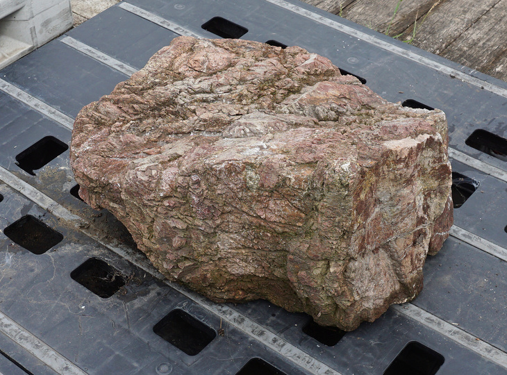 Sanbaseki Stone, Japanese Ornamental Rock - YO06010412