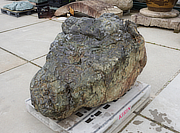 Buy Sanbaseki Stone, Japanese Ornamental Rock for sale - YO06010508