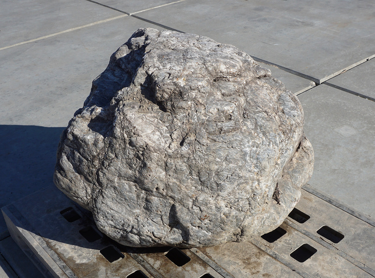 Sanbaseki Stone, Japanese Ornamental Rock - YO06010515