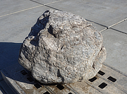 Buy Sanbaseki Stone, Japanese Ornamental Rock for sale - YO06010515